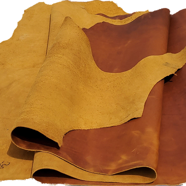 The Belfast Collection