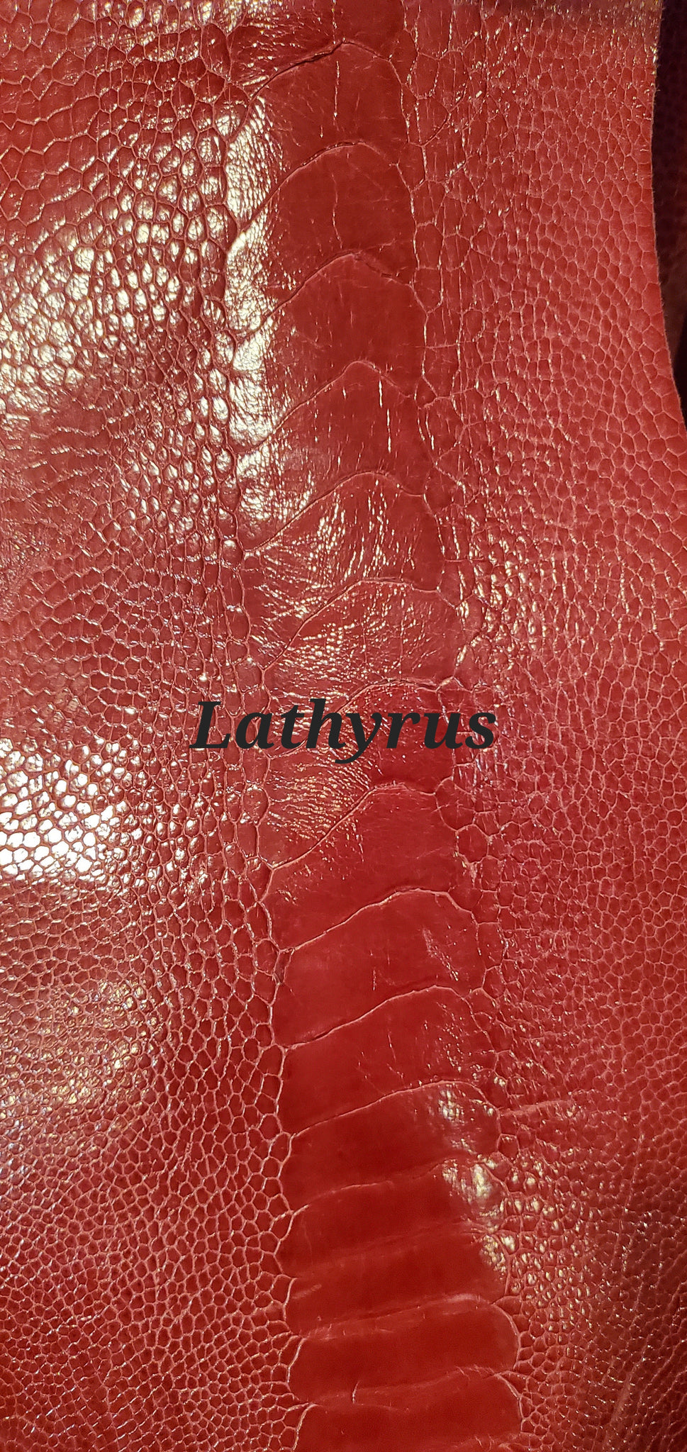 Embossed Ostrich Calf Leather