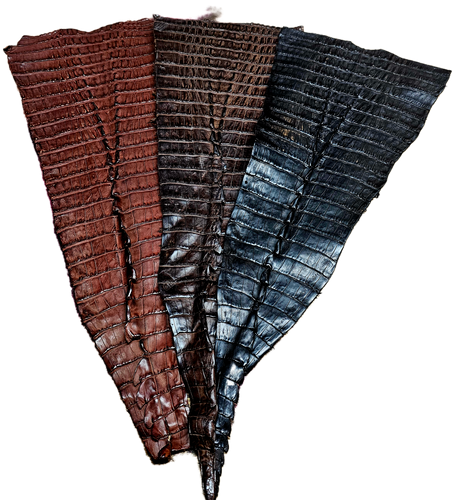 Caiman Tails