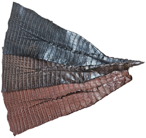 Caiman Tails