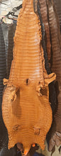 Load image into Gallery viewer, Finished Nile Crocodile Belly