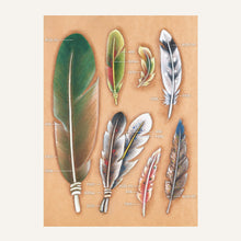 Load image into Gallery viewer, MakerAid® Feathers Easy Trace Reusable Pattern 78904-06