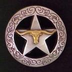 (11) Engraved Border Star w/Steerhead Concho 1 1/2
