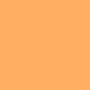 Alpha 6 Leather Paint–Orange Sherbet