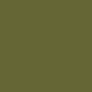 Alpha 6 Leather Paint–Army Green/Camo-1 oz