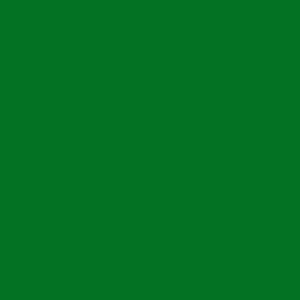 Alpha 6 Leather Paint–Alpha Green