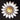 (68) 1 1/4" Daisy White/Yellow - 1996702