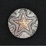 (29) Canyon Star 1 1/2