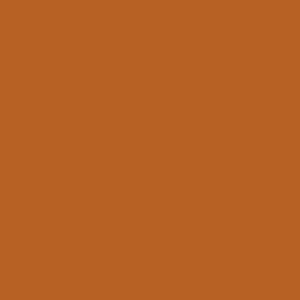 Alpha 6 Leather Paint–Burnt Orange