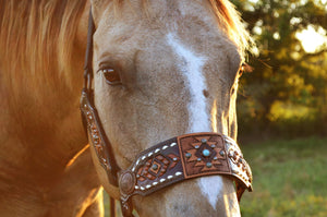 4  Nose Bands/ Bronc Halters Template